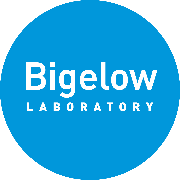 Bigelow Laboratory for Ocean Sciences Logo